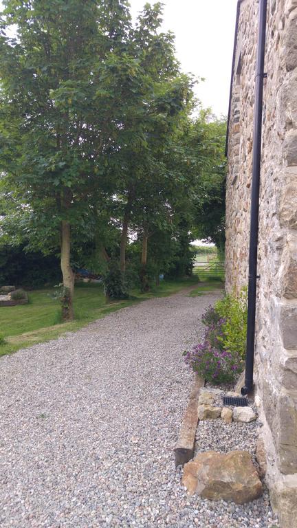 The Barn At Cae Bach Villa Gwalchmai Exteriör bild